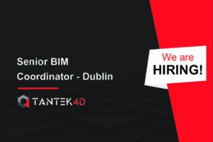 senior bim dublin